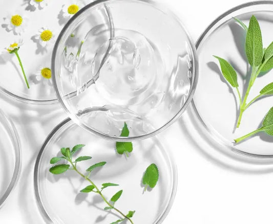 Clean beauty définition : comprendre cette tendance cosmétique
